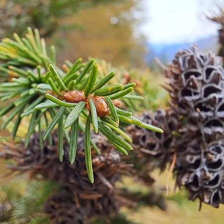 Gerlitzen Berg- Und Seenurlaub * Deutschberg