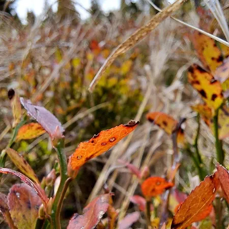 아파트 Gerlitzen Berg- Und Seenurlaub *